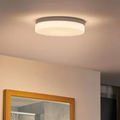 Prios Wynion LED plafondlamp CCT DIP-schakelaar 30cm