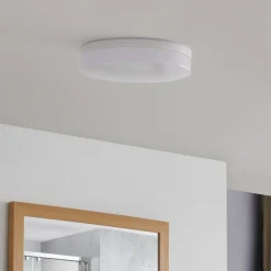 Prios Wynion LED plafondlamp CCT DIP-schakelaar 30cm