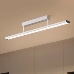 Prios Yuela LED plafondlamp, DALI, 100 cm, zilver