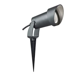 Projector Ellis met aardspies