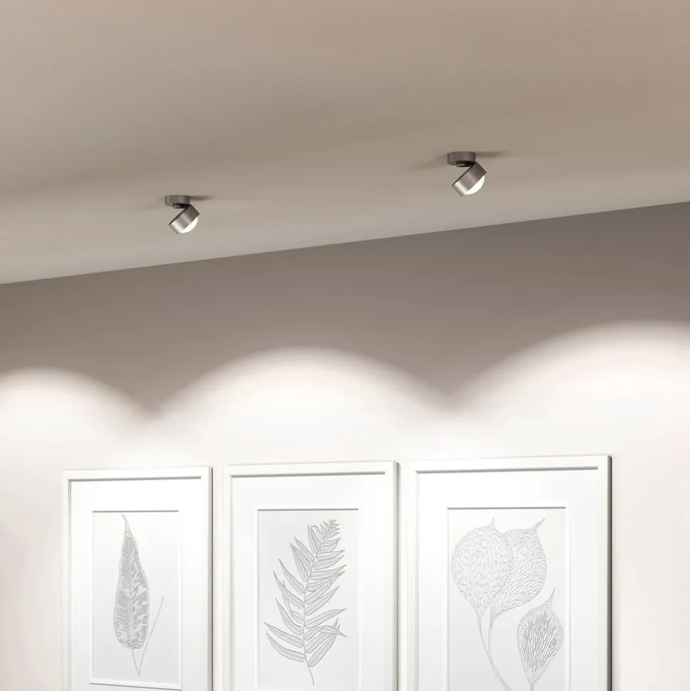 Puk Mini Move LED, heldere lens, mat nikkel