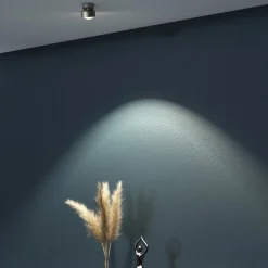 Puk Mini Move LED, heldere lens, mat nikkel