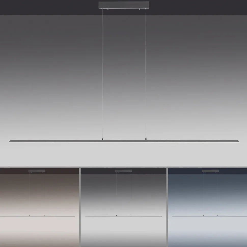 PURE LED hanglamp Lite, antraciet, 160 cm, CCT, dimbaar