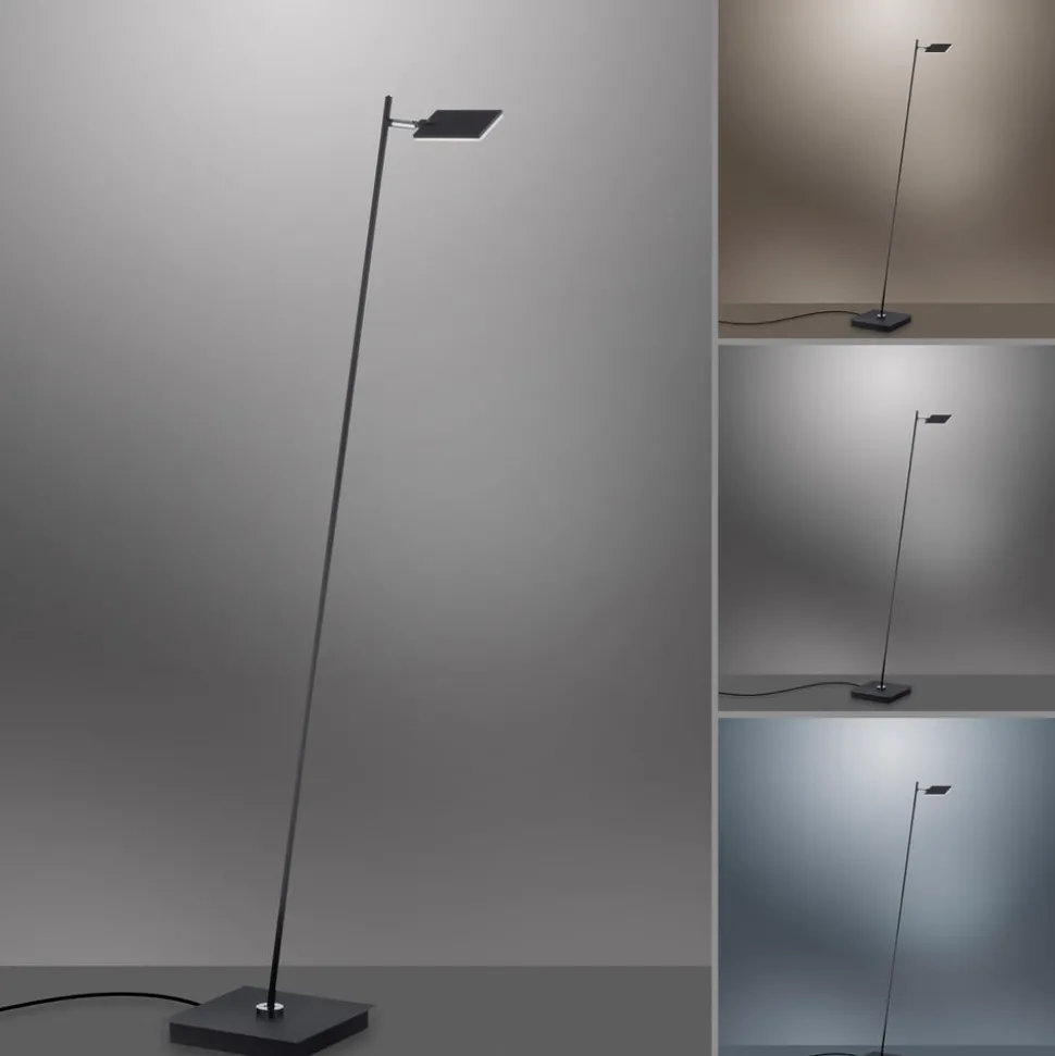 Pure Mira LED vloerlamp, afstandsbediening, zwart