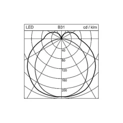 Regent Wiggle lichtband DALI 300cm 96W 4.000K