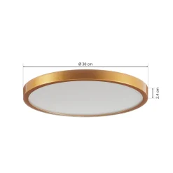 Ronde LED plafondlamp Vika - 30 cm