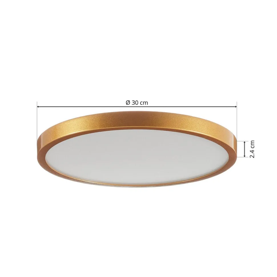 Ronde LED plafondlamp Vika - 30 cm