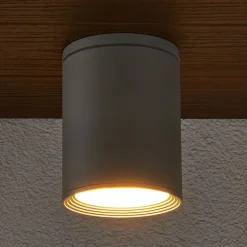 Ronde plafondspot Minna in zilvergrijs