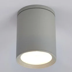 Ronde plafondspot Minna in zilvergrijs