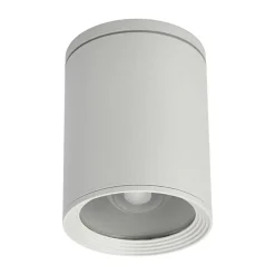 Ronde plafondspot Minna in zilvergrijs