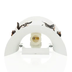 Rose wandlamp met glazen kap