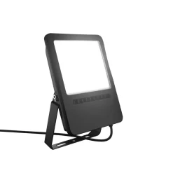 RZB HB 450 buitenspot IP65 7.700lm