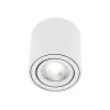 Sabonis Oppervlakte downlight, GU10, aluminium, wit