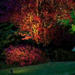 Sally grondspies lamp met kabel en stekker