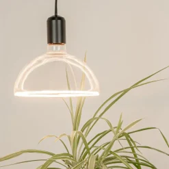 SEGULA LED lamp bowl E27 6,2W ambient dimbaar