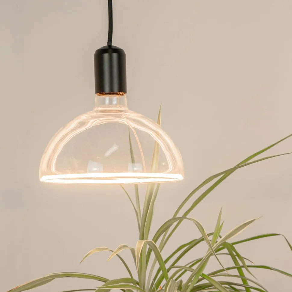 SEGULA LED lamp bowl E27 6,2W ambient dimbaar