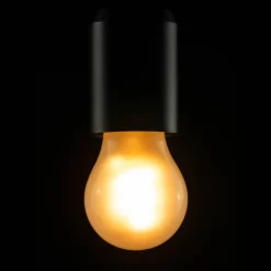 Segula LED lamp E27 3,2W 922 A15 mat dimbaar