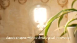 SEGULA LED lamp E27 6,5W filament ambient-dimming