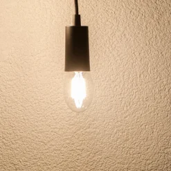 SEGULA LED lamp E27 8W Tube 2.700K helder dimbaar