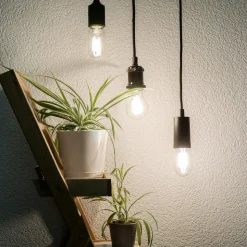 SEGULA LED lamp E27 8W Tube 2.700K helder dimbaar