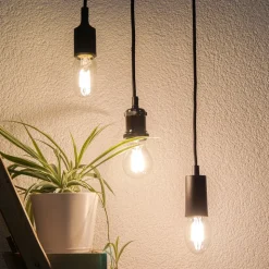 SEGULA LED lamp E27 8W Tube 2.700K helder dimbaar