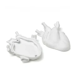 SELETTI Love in Bloom Liefde in een doosje, wit, porselein, fluweel