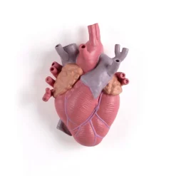 SELETTI Love in Bloom vaas, kleurrijk, hoogte 25 cm, porselein