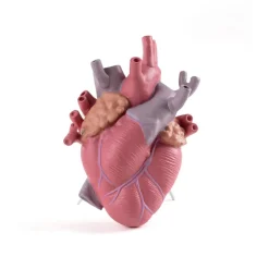 SELETTI Love in Bloom vaas, kleurrijk, hoogte 25 cm, porselein