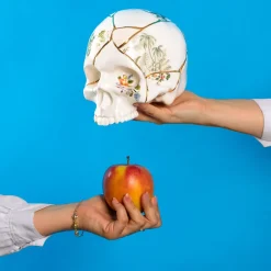 SELETTI Sculptuur Kintsugi Schedel, wit, porselein, goud