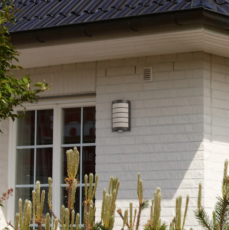 Sensor-buitenlamp Aqua Marco rooster, antraciet