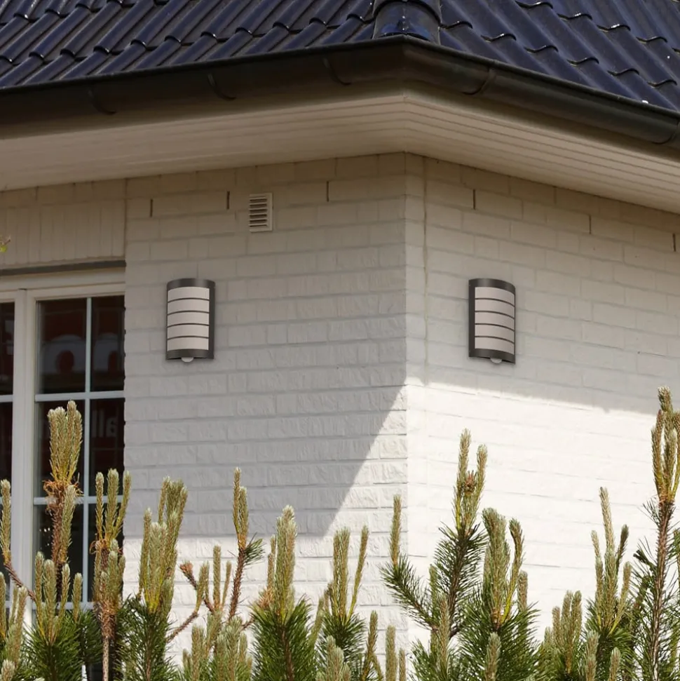 Sensor-buitenlamp Aqua Marco rooster, antraciet