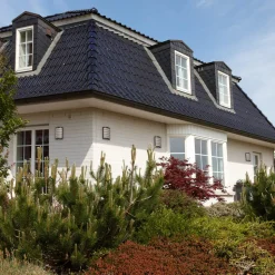 Sensor-buitenlamp Aqua Marco rooster, antraciet