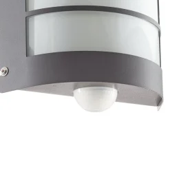 Sensor-buitenlamp Aqua Marco rooster, antraciet