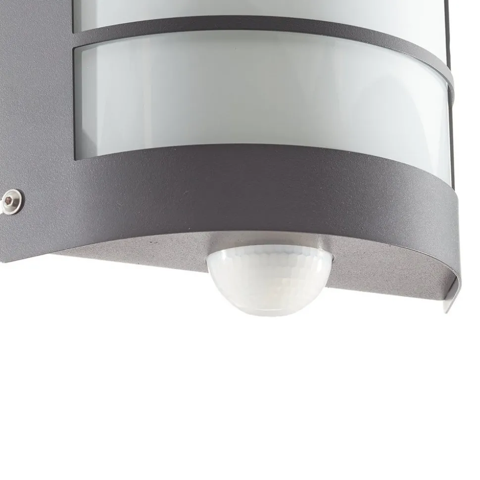 Sensor-buitenlamp Aqua Marco rooster, antraciet