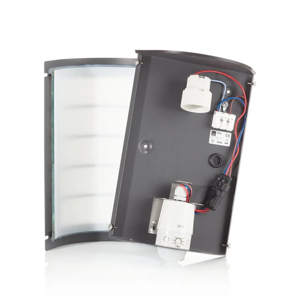 Sensor-buitenlamp Aqua Marco rooster, antraciet