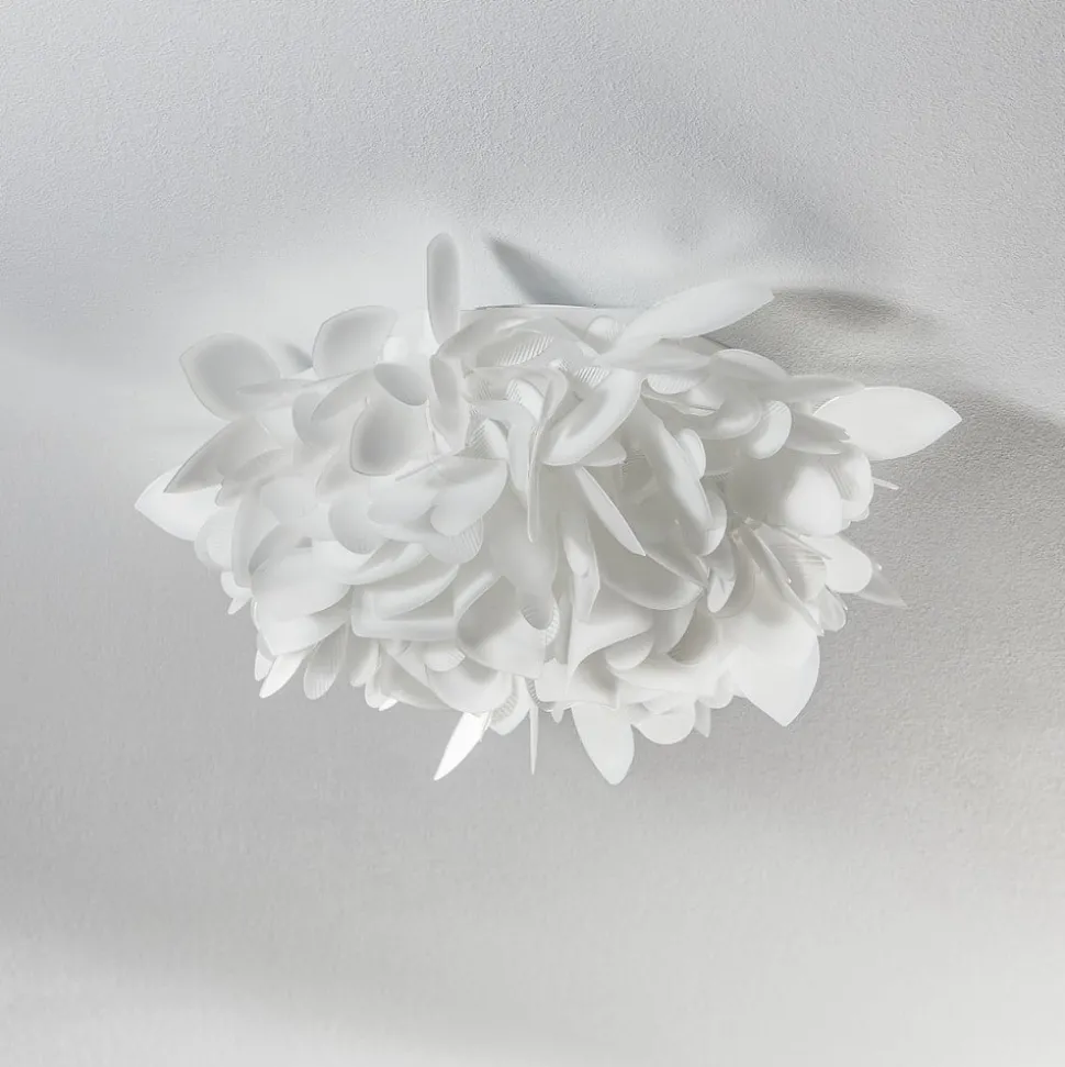 Slamp Veli Foliage Mini wandlamp, Ø 36cm