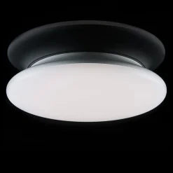 SLC LED plafondlamp dimbaar IP54 Ø 30 cm 4.000 K