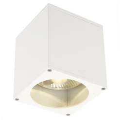 SLV Big Theo buiten plafondlamp, wit