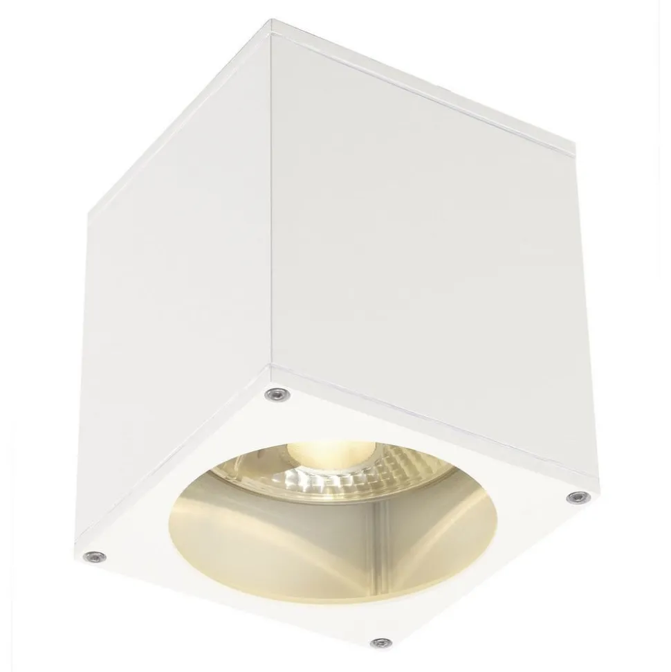 SLV Big Theo buiten plafondlamp, wit