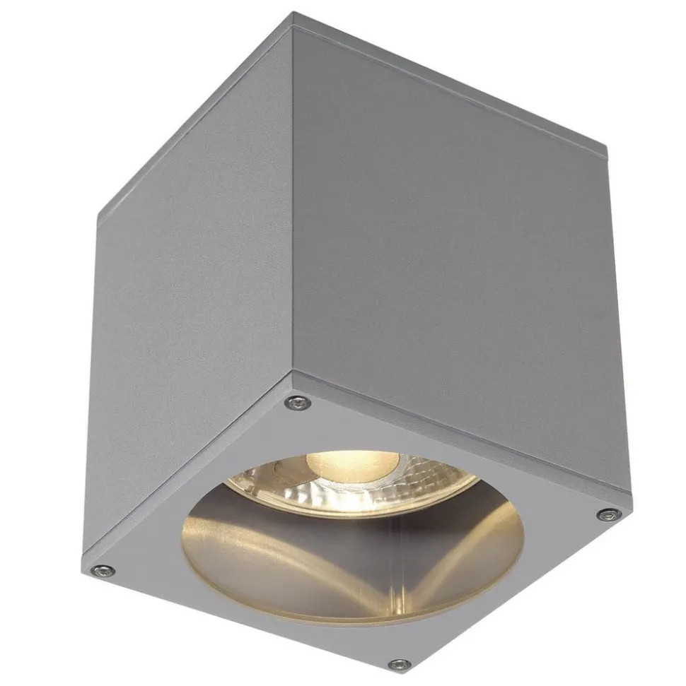 SLV Big Theo buiten plafondlamp, grijs