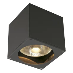 SLV Big Theo buitenwandlamp, 1-lamp, antraciet