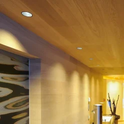 SLV Horn inbouwspot GU10, mat zwart