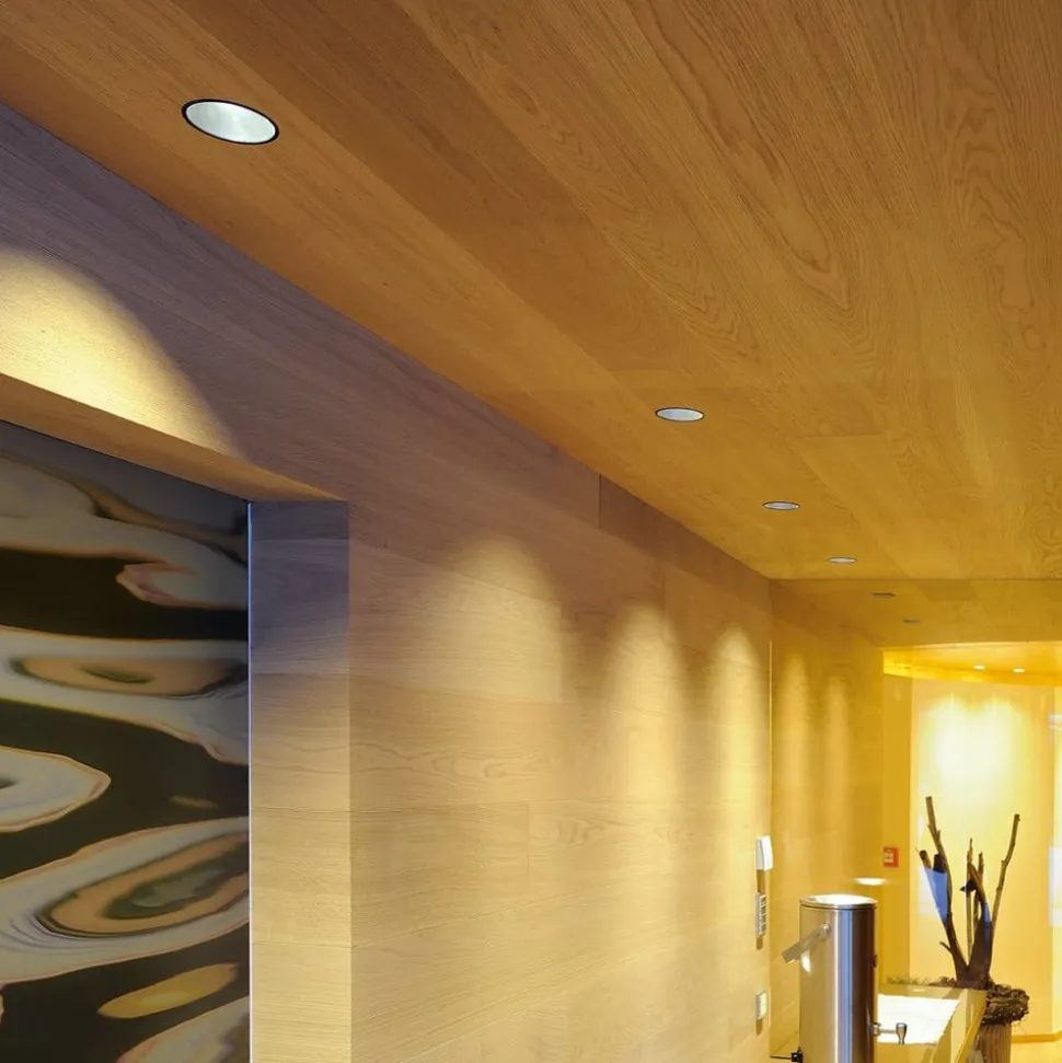 SLV Horn inbouwspot GU10, mat zwart