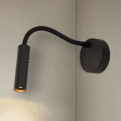 SLV Karpo Goose LED wandlamp, dimbaar, zwart