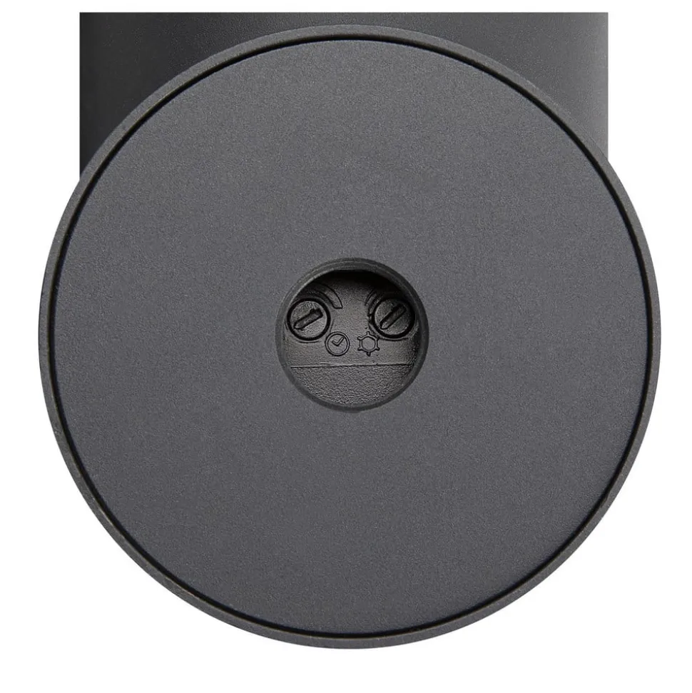 SLV Ovalisk Buitenwandlamp CCT