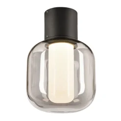 SLV Ovalisk LED buiten plafondlamp CCT