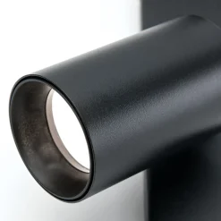 Spot Sean 2-lamps, zwart