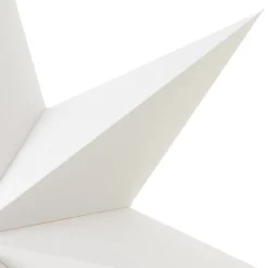 Staande ster Karo, hoogte 100