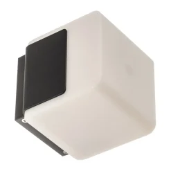 STEINEL L 835 C LED buiten wandlamp, antraciet