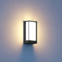 STEINEL L 42 C LED buitenwandlamp antraciet